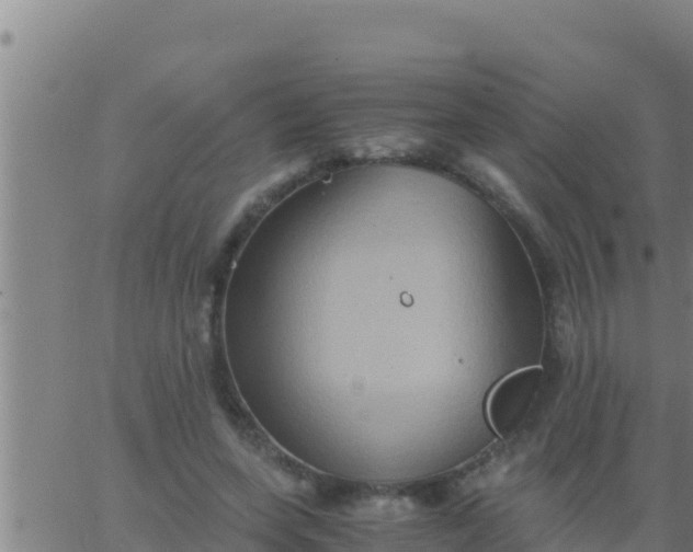 X0000062830543200601271953