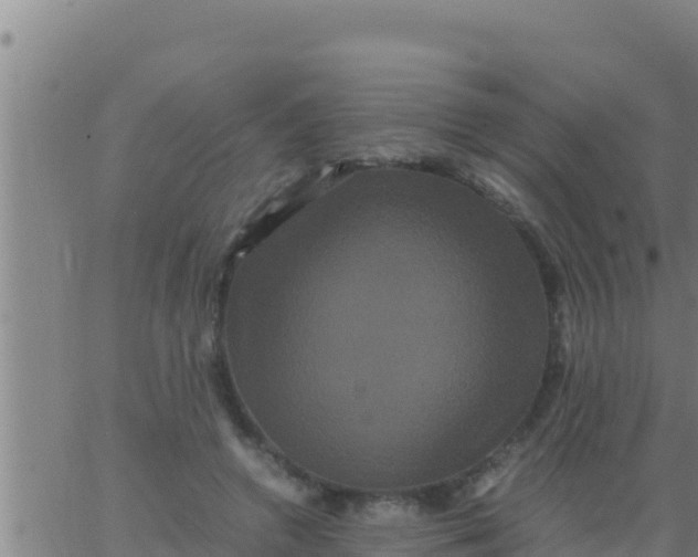 X0000062830546200601271954