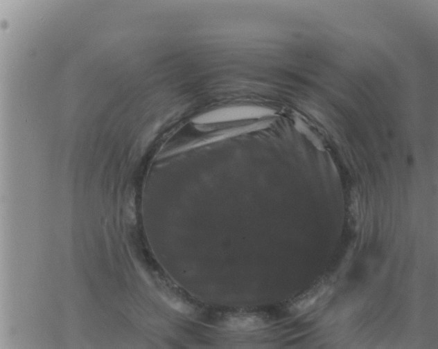 X0000062830547200601271954