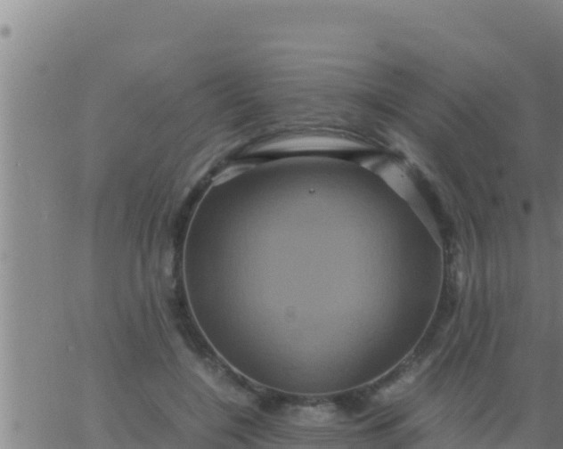 X0000062830548200601271954