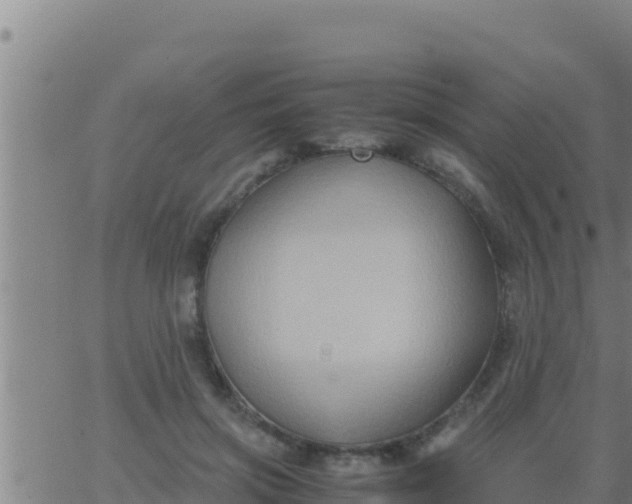 X0000062830549200601271954