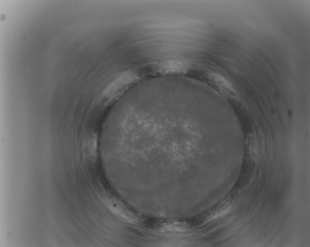 X0000062830550200601271954