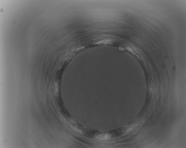 X0000062830551200601271954