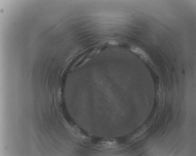 X0000062830552200601271954