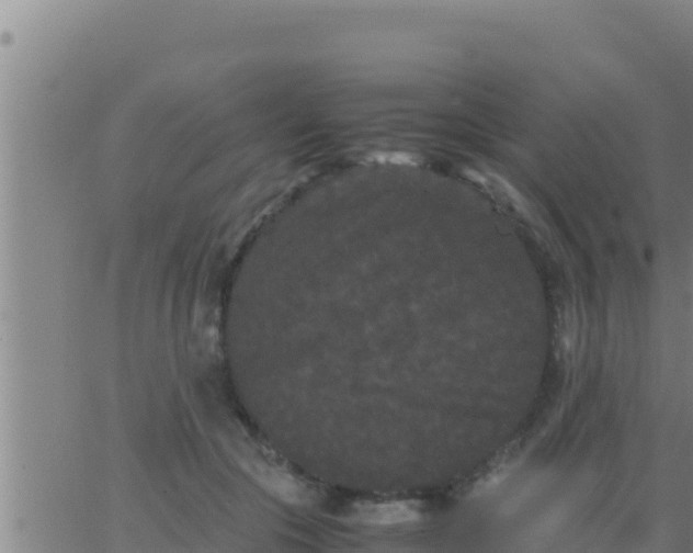 X0000062830553200601271954