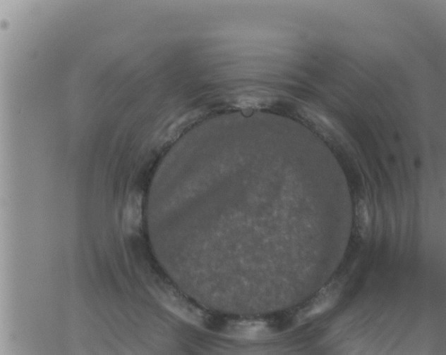 X0000062830554200601271954