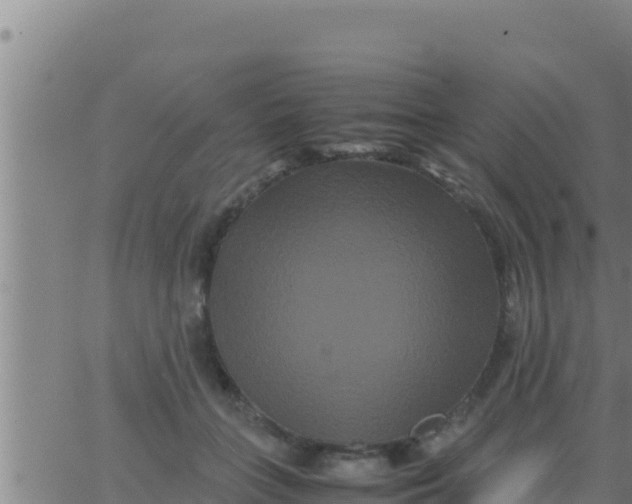 X0000062830555200601271954