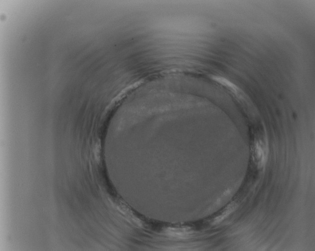 X0000062830556200601271954