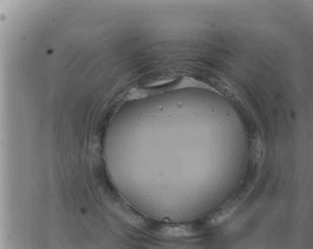 X0000062830557200601271954