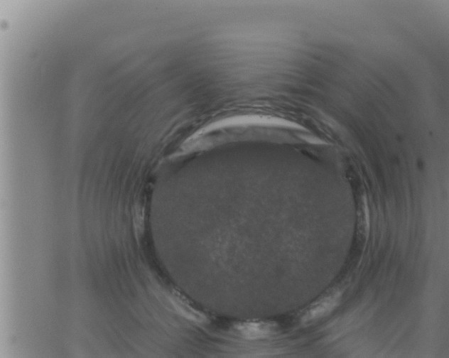 X0000062830558200601271954