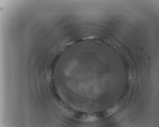 X0000062830559200601271954