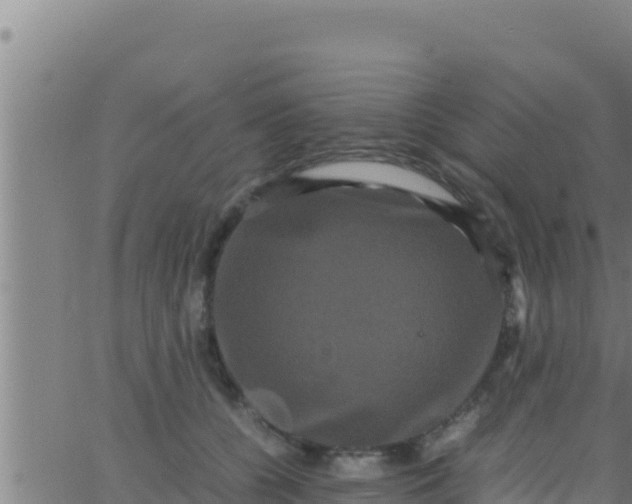 X0000062830560200601271954