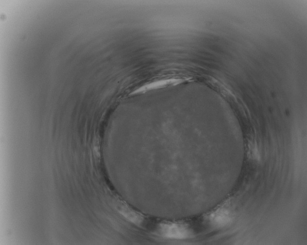 X0000062830561200601271954