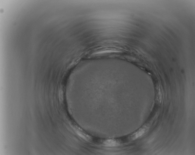 X0000062830562200601271954