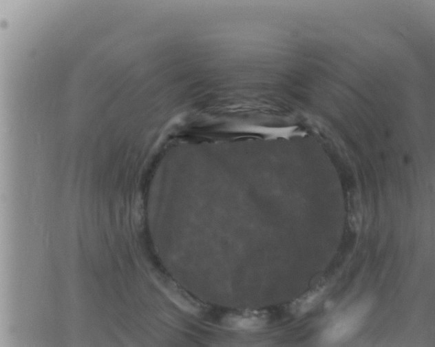 X0000062830563200601271954