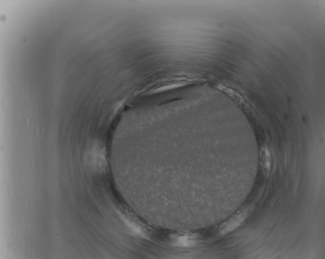 X0000062830564200601271954