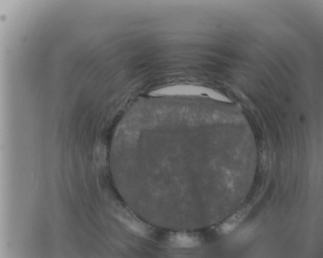 X0000062830565200601271954