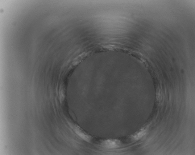 X0000062830566200601271954