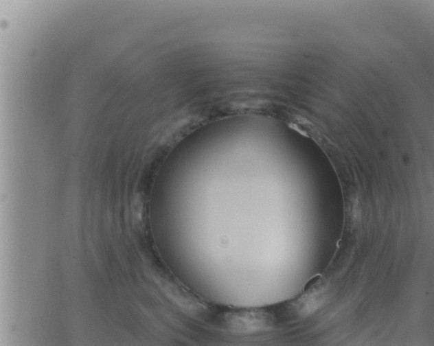 X0000062830567200601271954