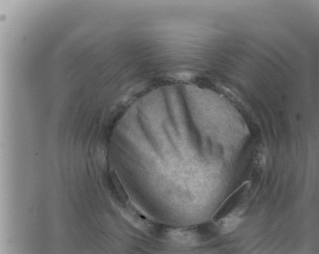 X0000062830568200601271954