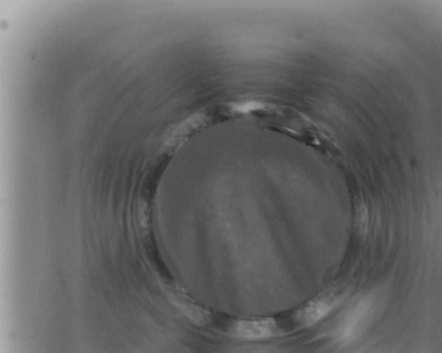 X0000062830571200601271954