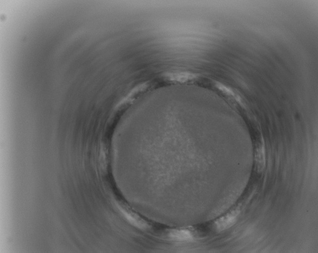 X0000062830572200601271954