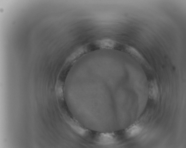 X0000062830573200601271954