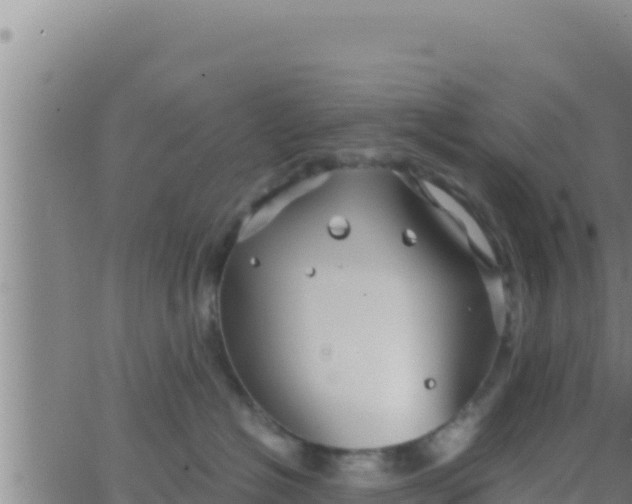 X0000062830574200601271954