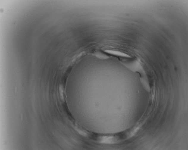 X0000062830575200601271954