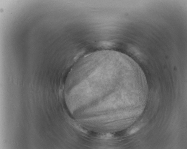 X0000062830576200601271954