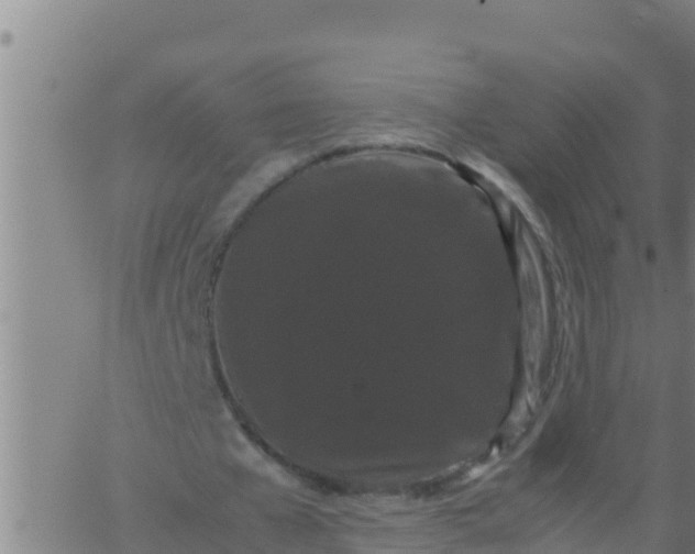 X0000062830577200601271953