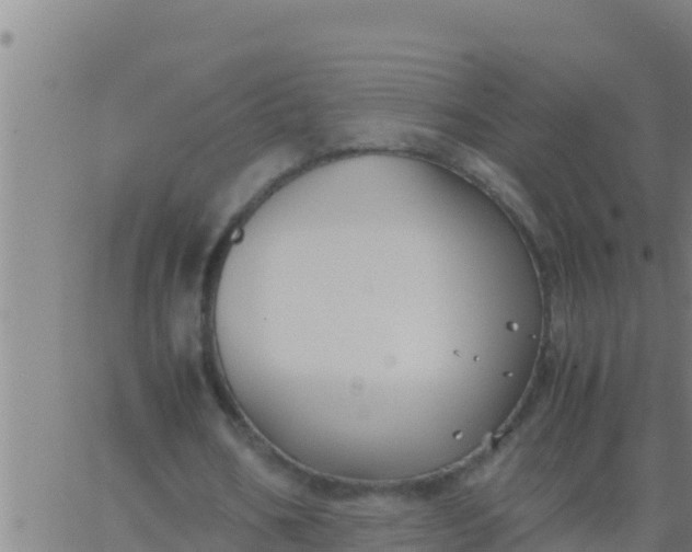 X0000062830578200601271953