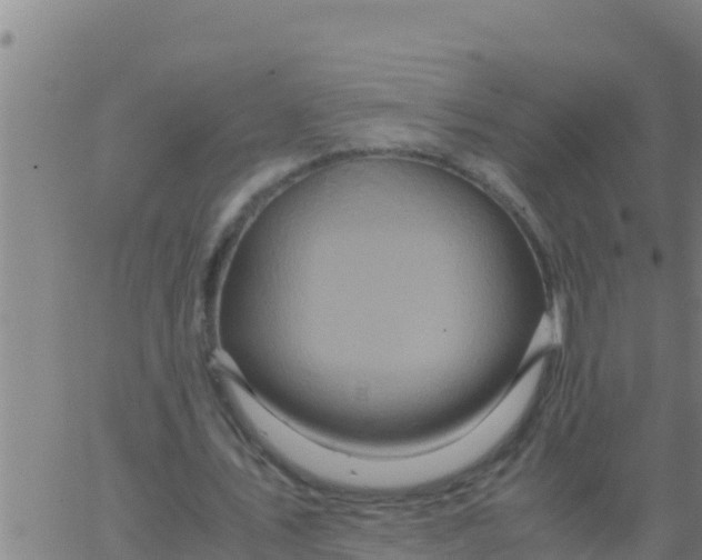 X0000062830579200601271953