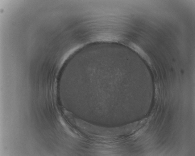 X0000062830580200601271953