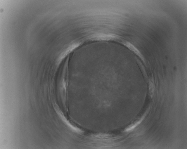 X0000062830581200601271953