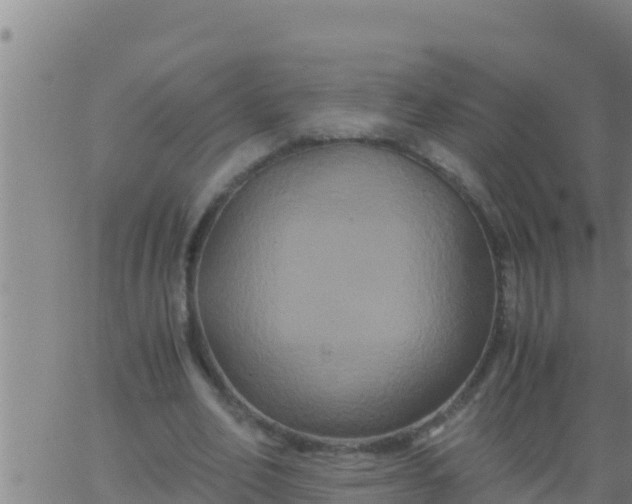 X0000062830582200601271953