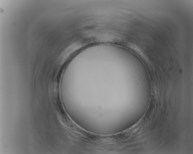 X0000062830583200601271953