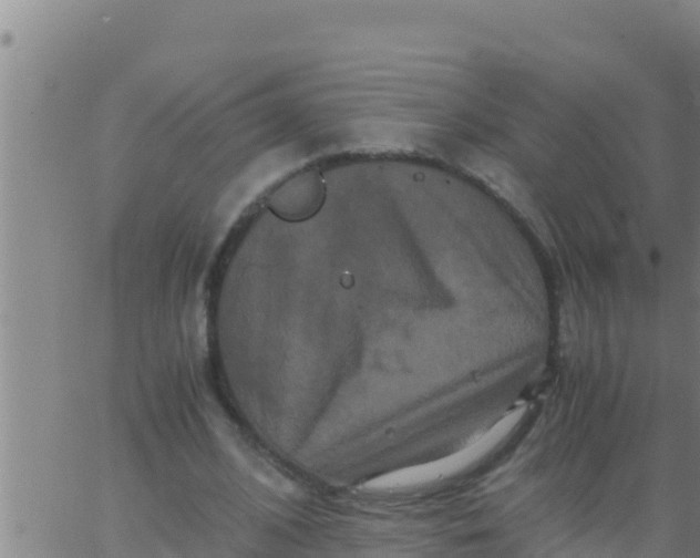 X0000062830584200601271953