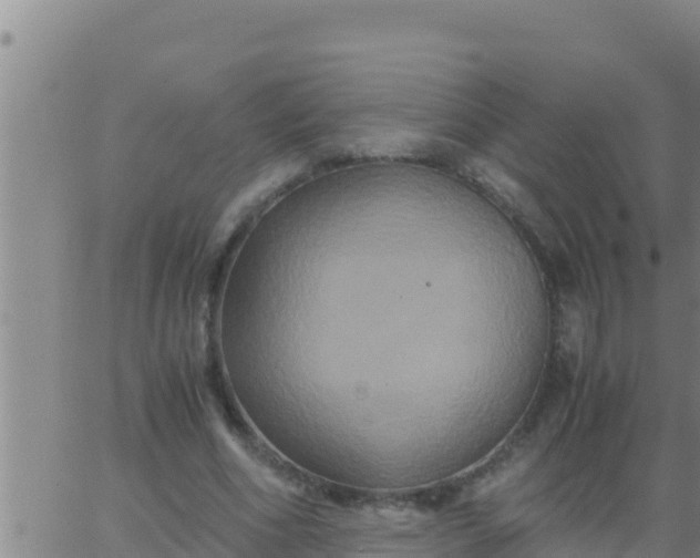 X0000062830586200601271953