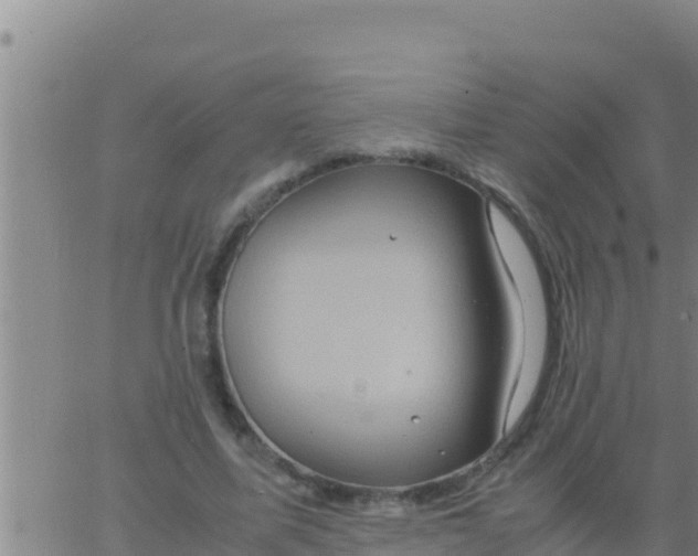 X0000062830587200601271953