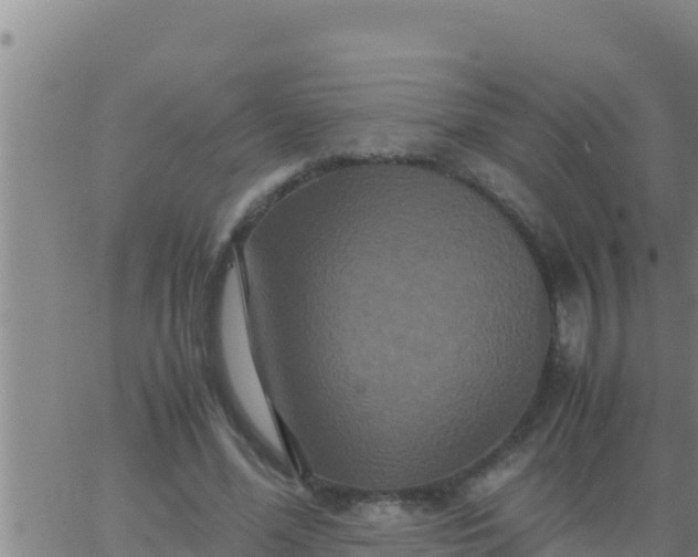 X0000062830588200601271953