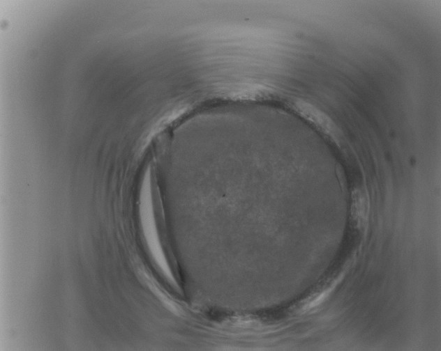 X0000062830589200601271953