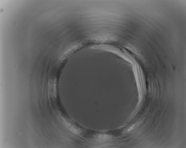 X0000062830590200601271953