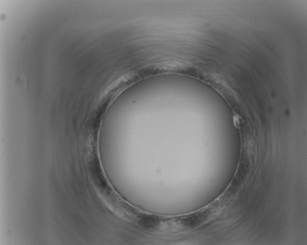 X0000062830591200601271953