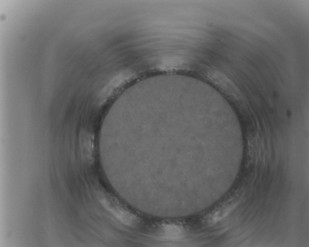 X0000062830592200601271953