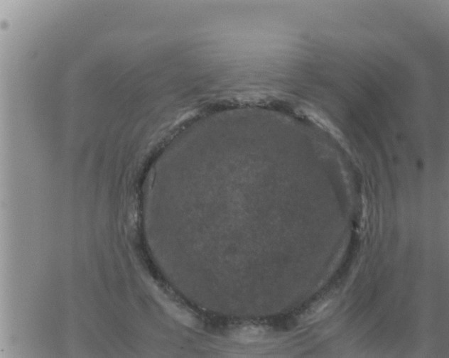 X0000062830593200601271953