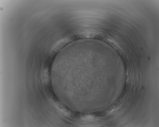 X0000062830594200601271953