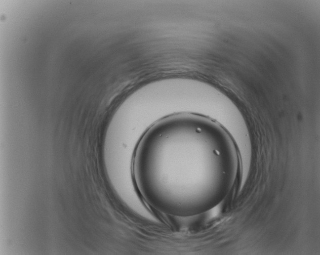 X0000062830595200601271953