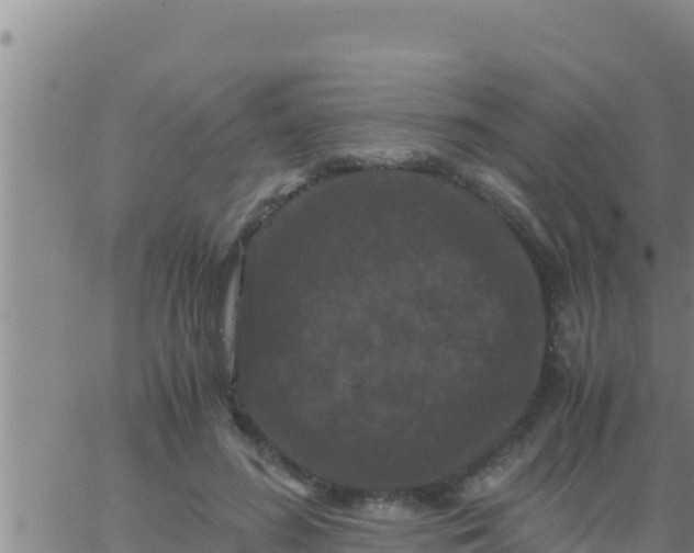 X0000062830596200601271953