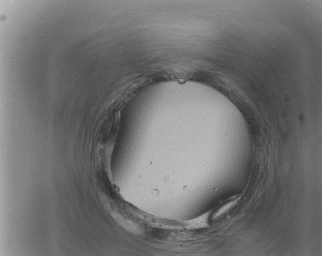 X0000062830599200601271953